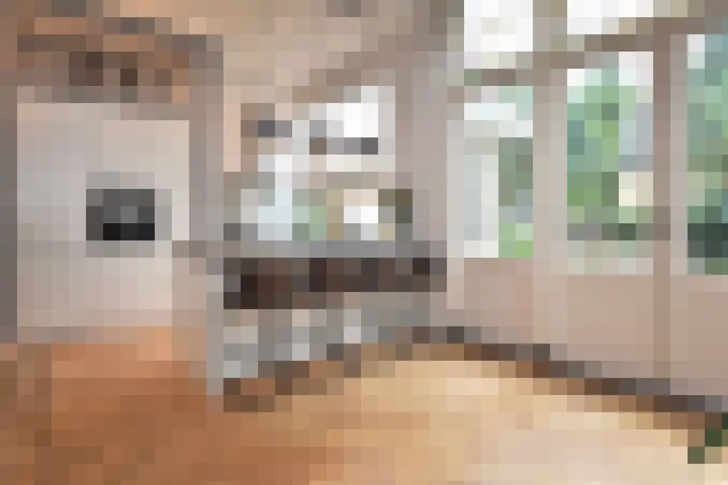 Geestbrugweg 68 Rijswijk thumbnail 22