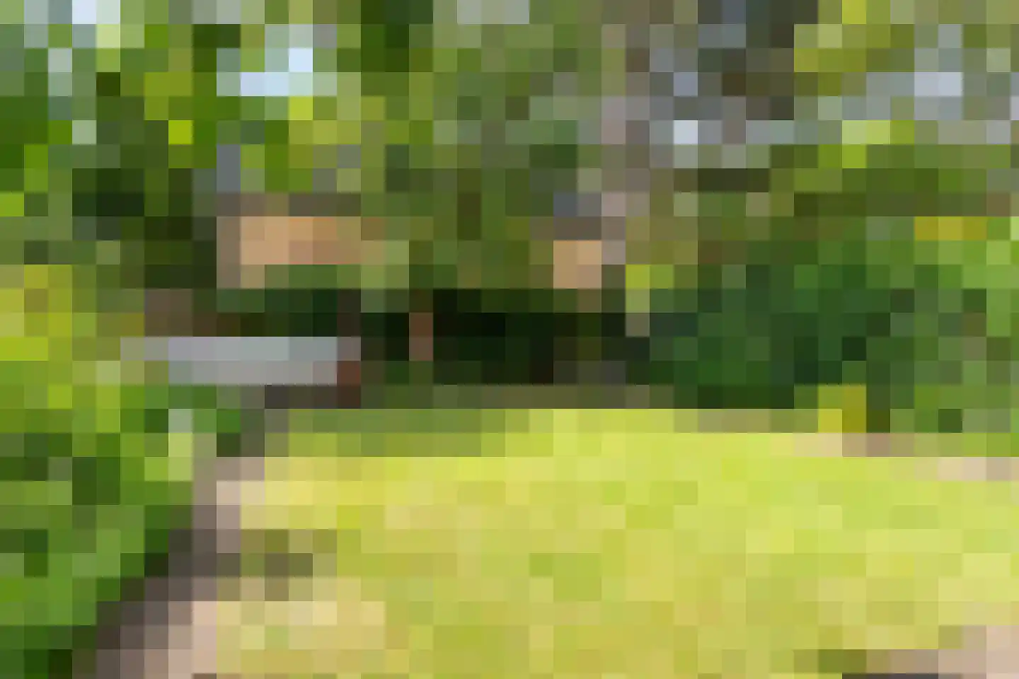 Geestbrugweg 68 Rijswijk thumbnail 32