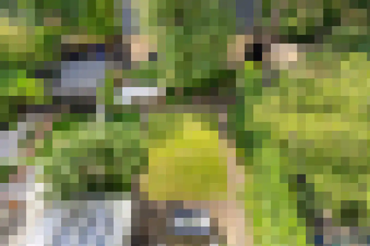 Geestbrugweg 68 Rijswijk thumbnail 34