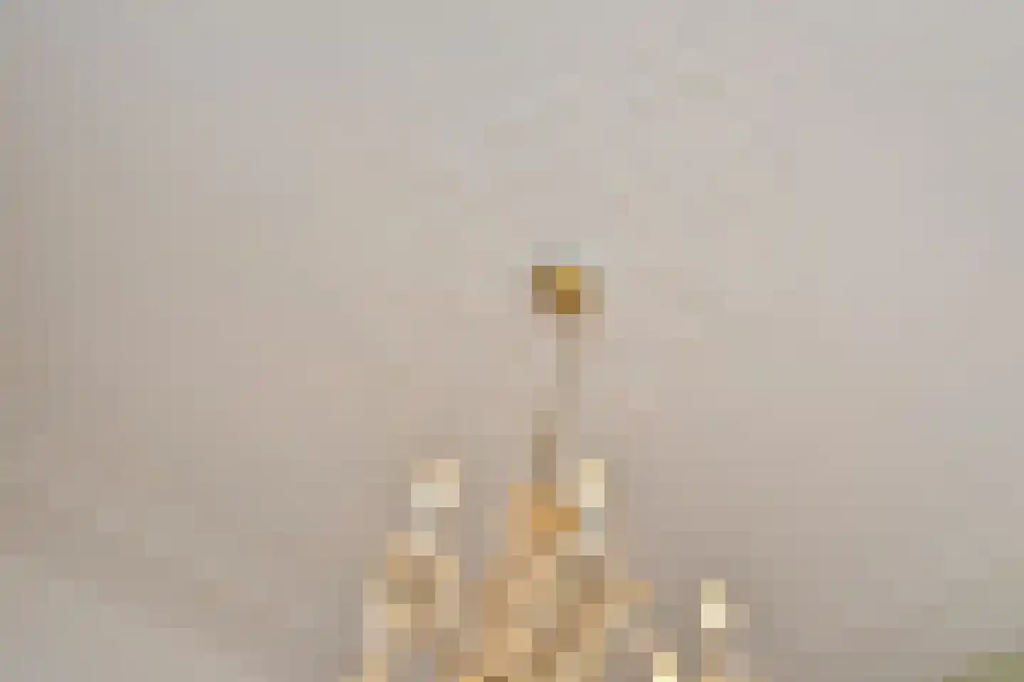 Geestbrugweg 68 Rijswijk thumbnail 51