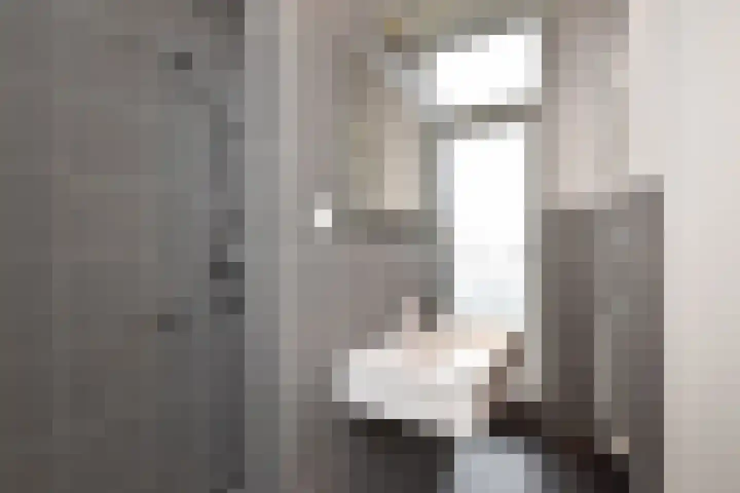 Geestbrugweg 68 Rijswijk thumbnail 57