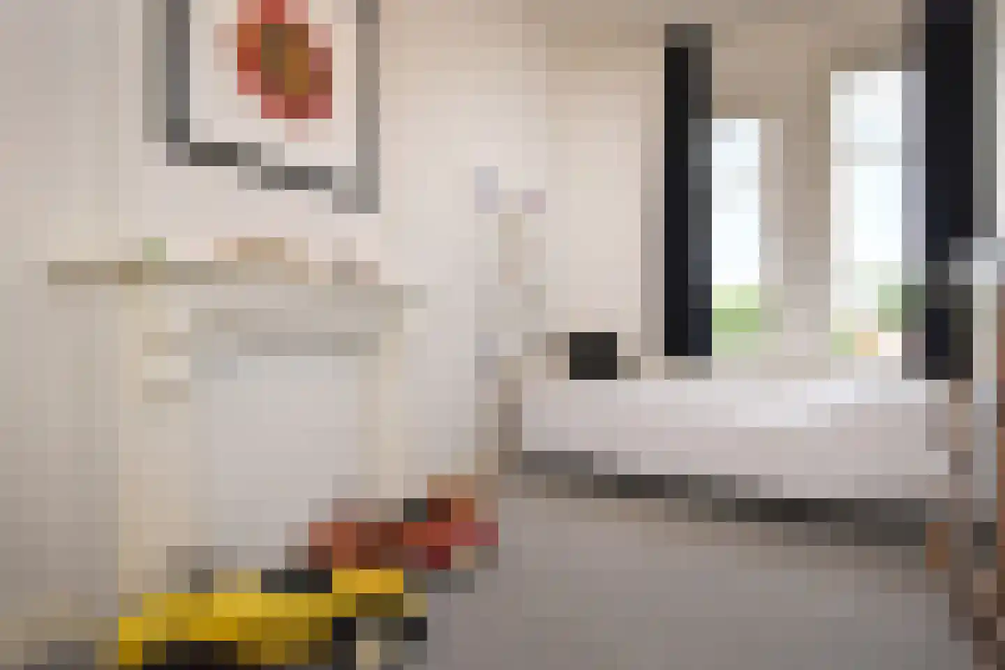 Geestbrugweg 68 Rijswijk thumbnail 67