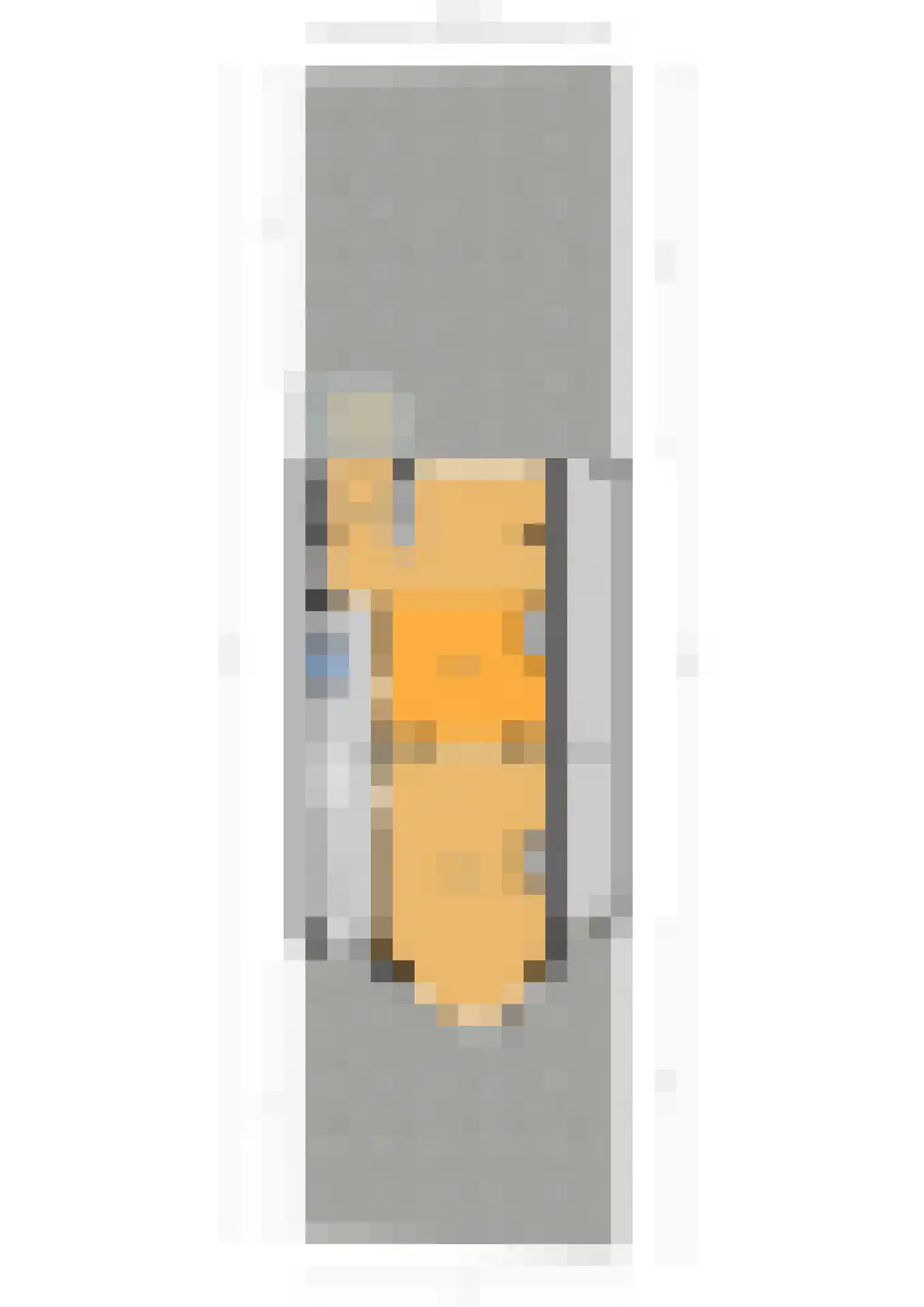 Geestbrugweg 68 Rijswijk thumbnail 75