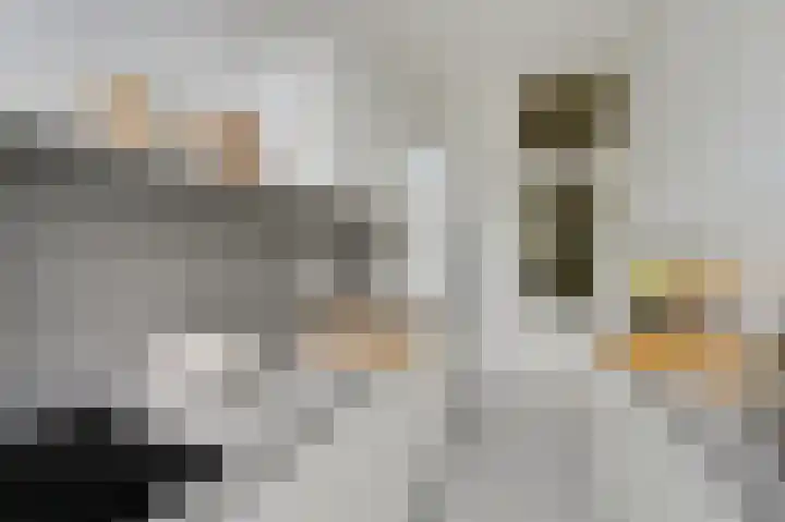 Geestbrugweg 84 Rijswijk thumbnail 16