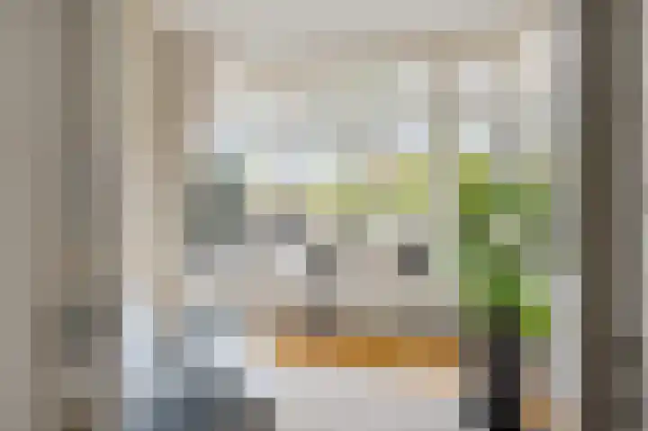 Geestbrugweg 84 Rijswijk thumbnail 23