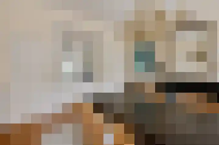 Geestbrugweg 84 Rijswijk thumbnail 27