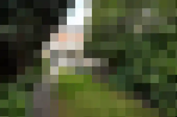 Geestbrugweg 84 Rijswijk thumbnail 32