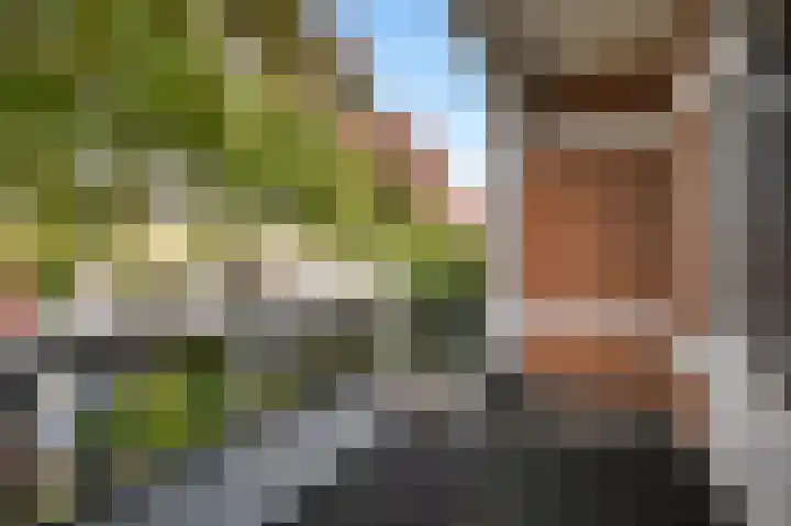 Geestbrugweg 84 Rijswijk thumbnail 39