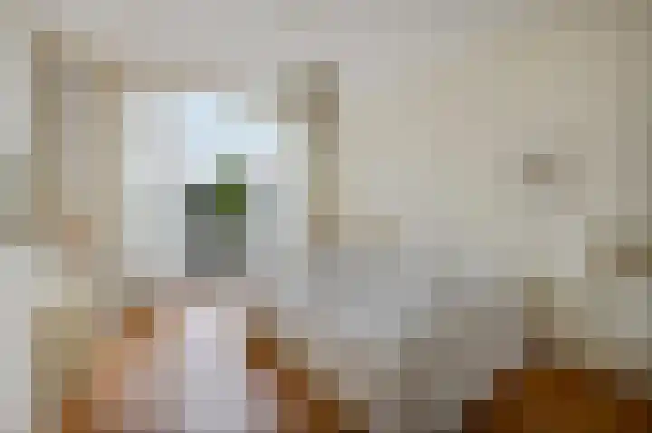 Geestbrugweg 84 Rijswijk thumbnail 43