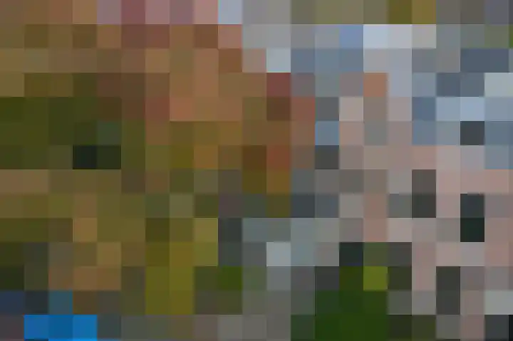 Geestbrugweg 84 Rijswijk thumbnail 5