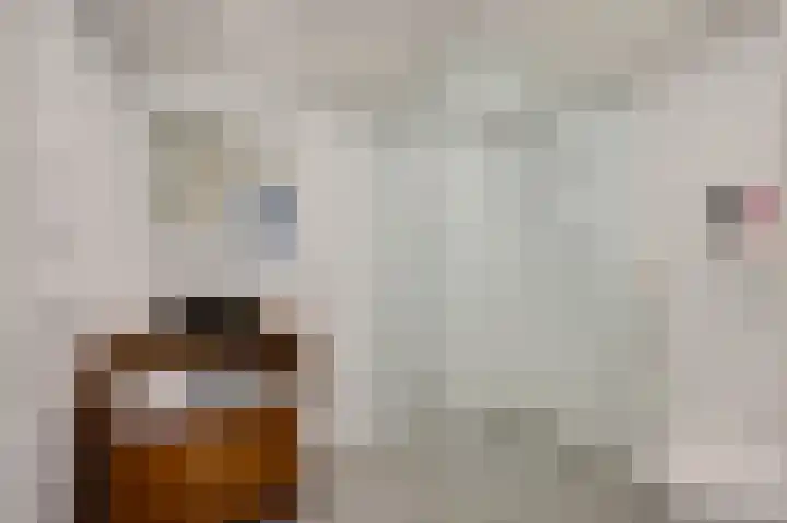 Geestbrugweg 84 Rijswijk thumbnail 52