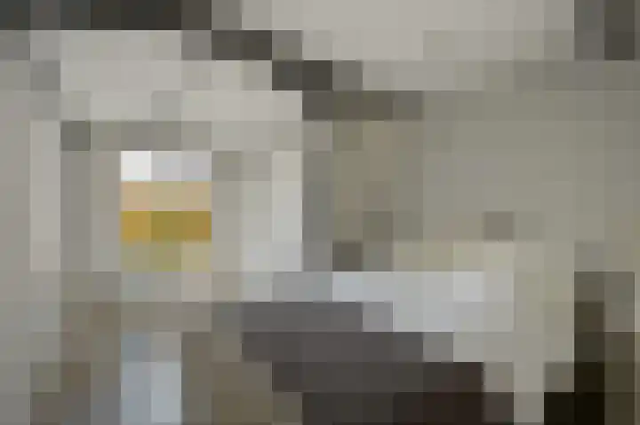 Geestbrugweg 84 Rijswijk thumbnail 53