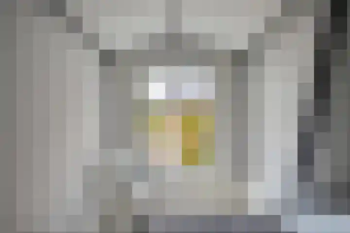 Geestbrugweg 84 Rijswijk thumbnail 54