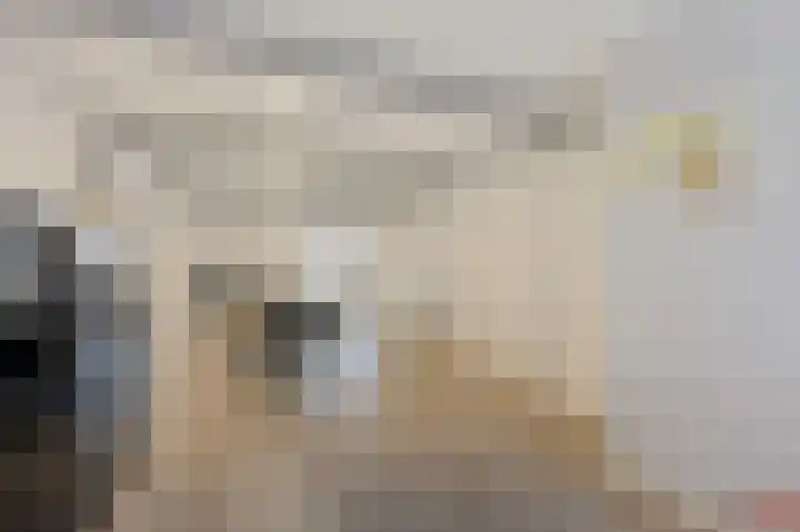 Geestbrugweg 84 Rijswijk thumbnail 56