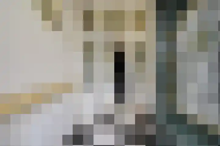 Geestbrugweg 84 Rijswijk thumbnail 9