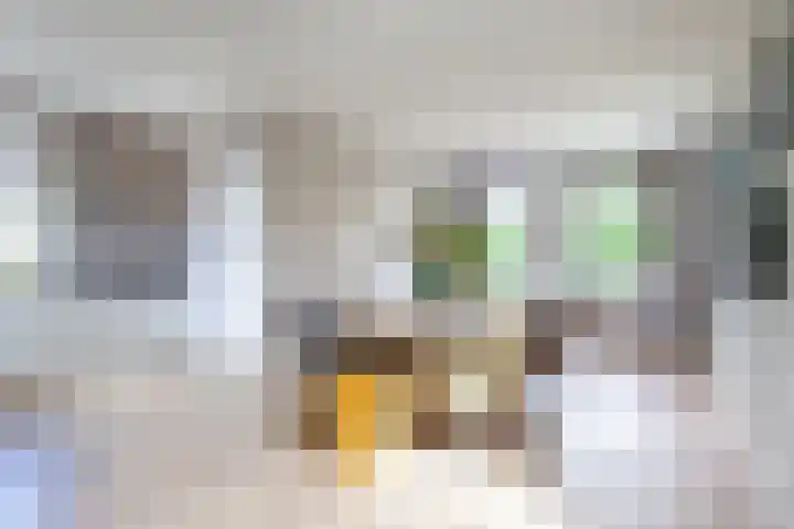 Geestdorp 9 Woerden thumbnail 14