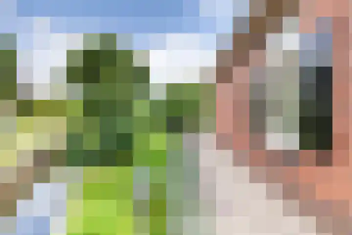Geestdorp 9 Woerden thumbnail 36