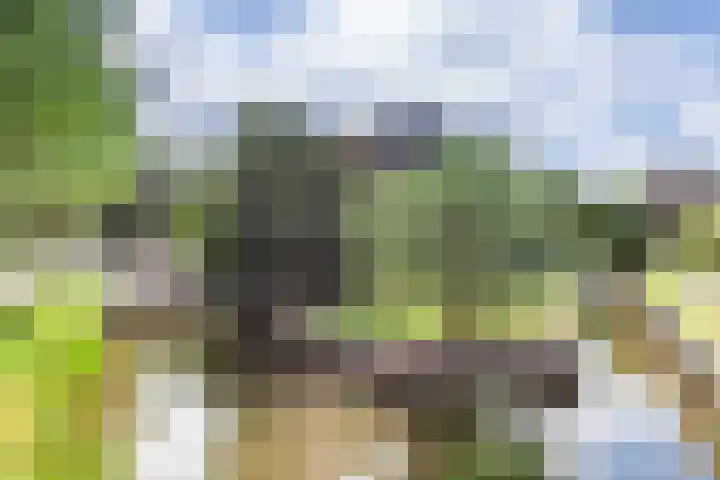 Geestdorp 9 Woerden thumbnail 4