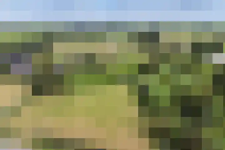 Geestdorp 9 Woerden thumbnail 40