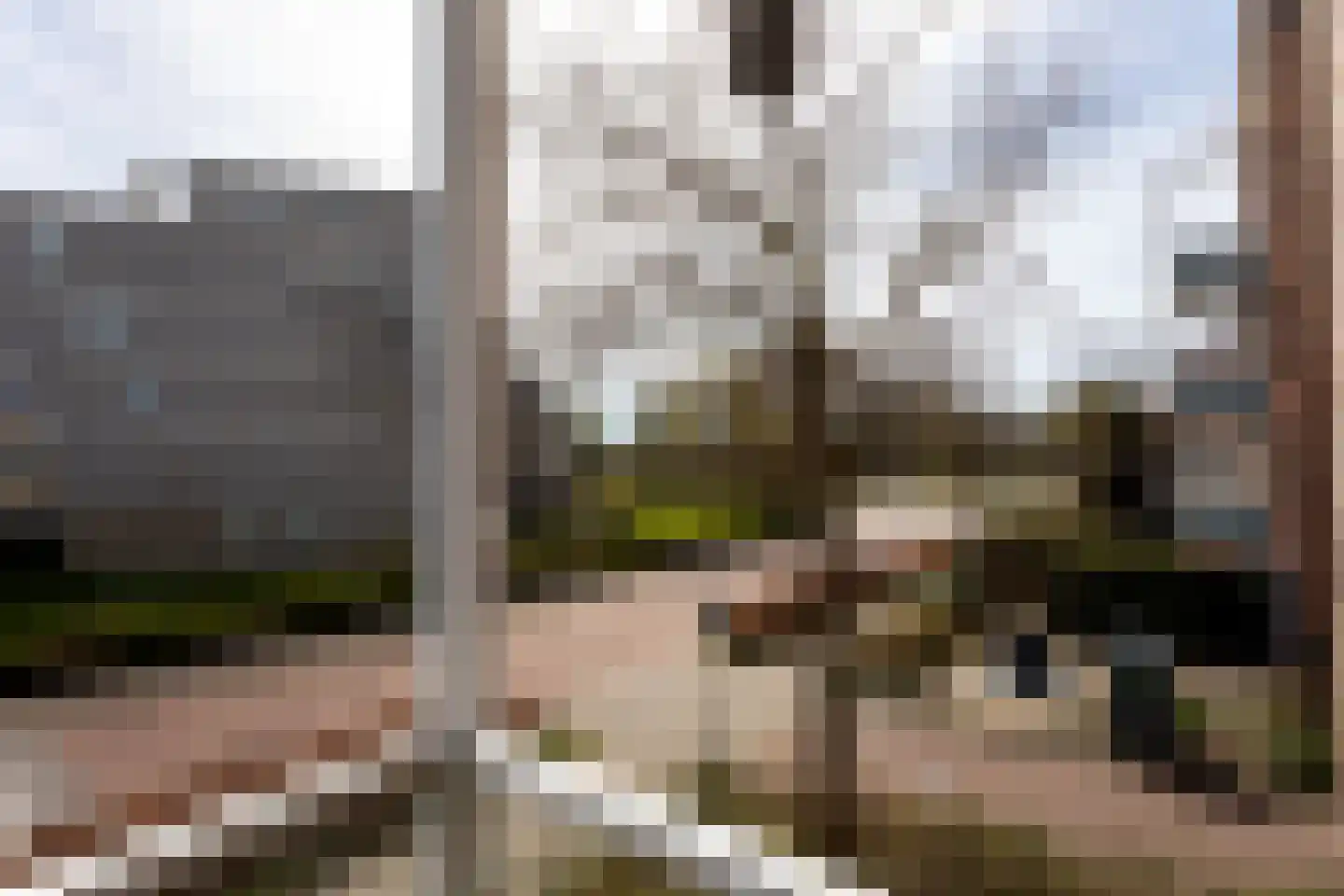 Geesterduinweg 124 Castricum thumbnail 16