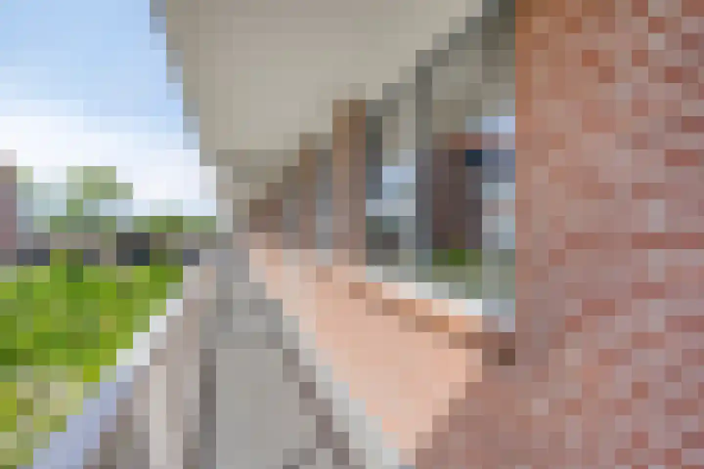 Geesterduinweg 128 Castricum thumbnail 20