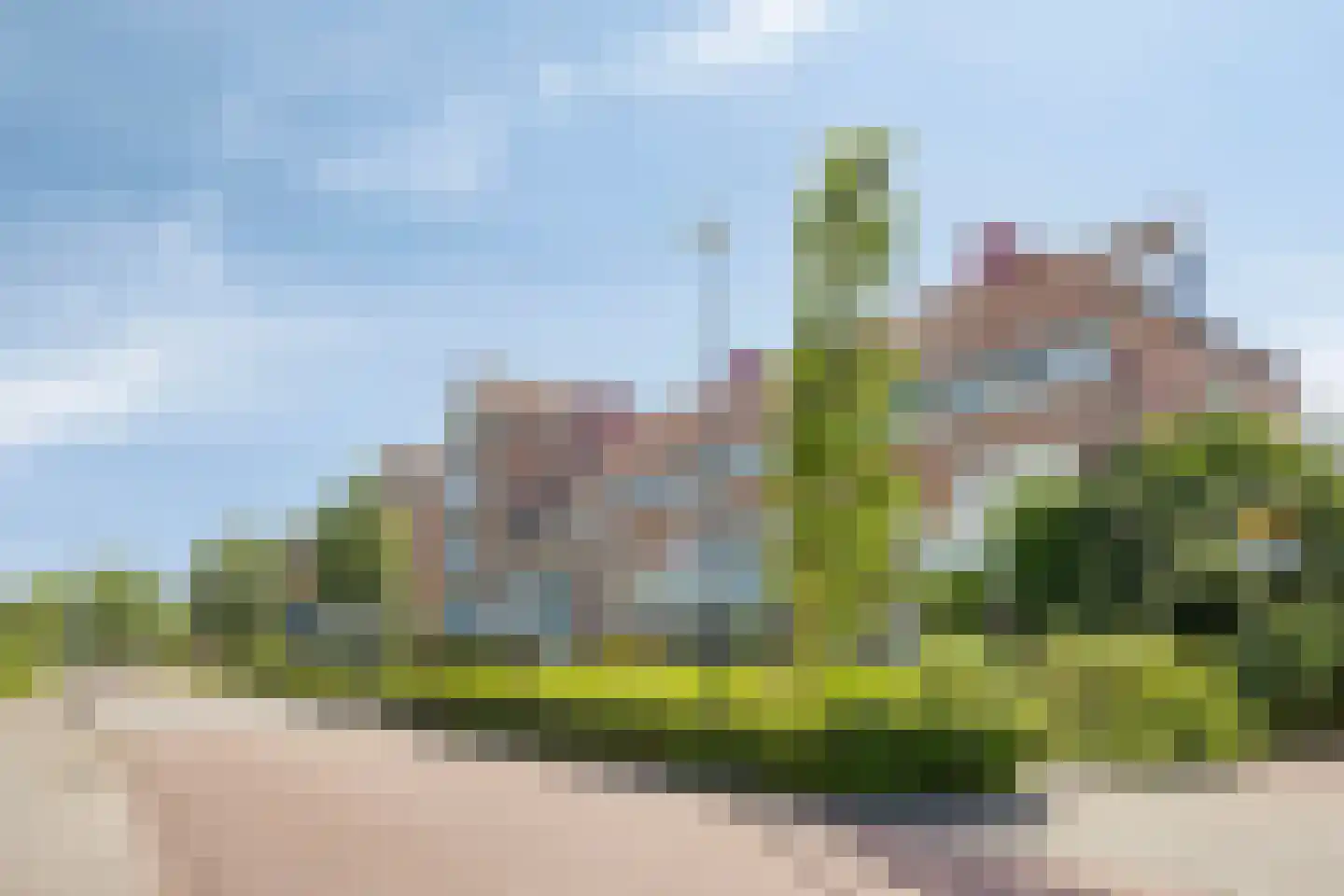 Geesterduinweg 128 Castricum thumbnail 23