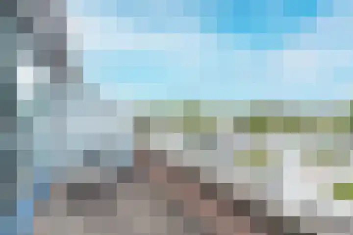Geesterduinweg 144 Castricum thumbnail 16