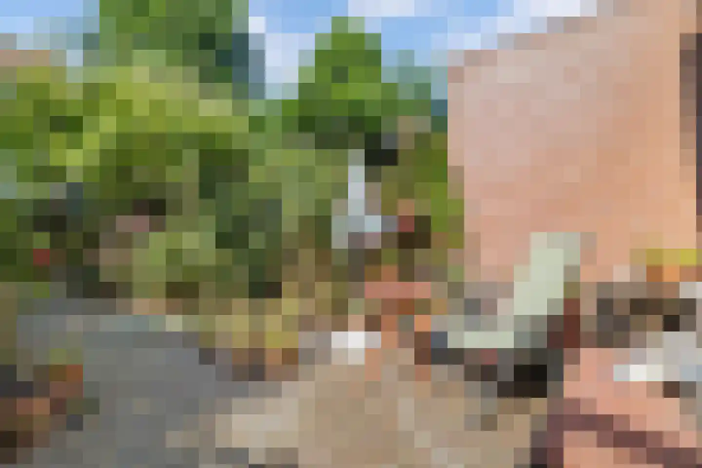 Geesterduinweg 180 Castricum thumbnail 21