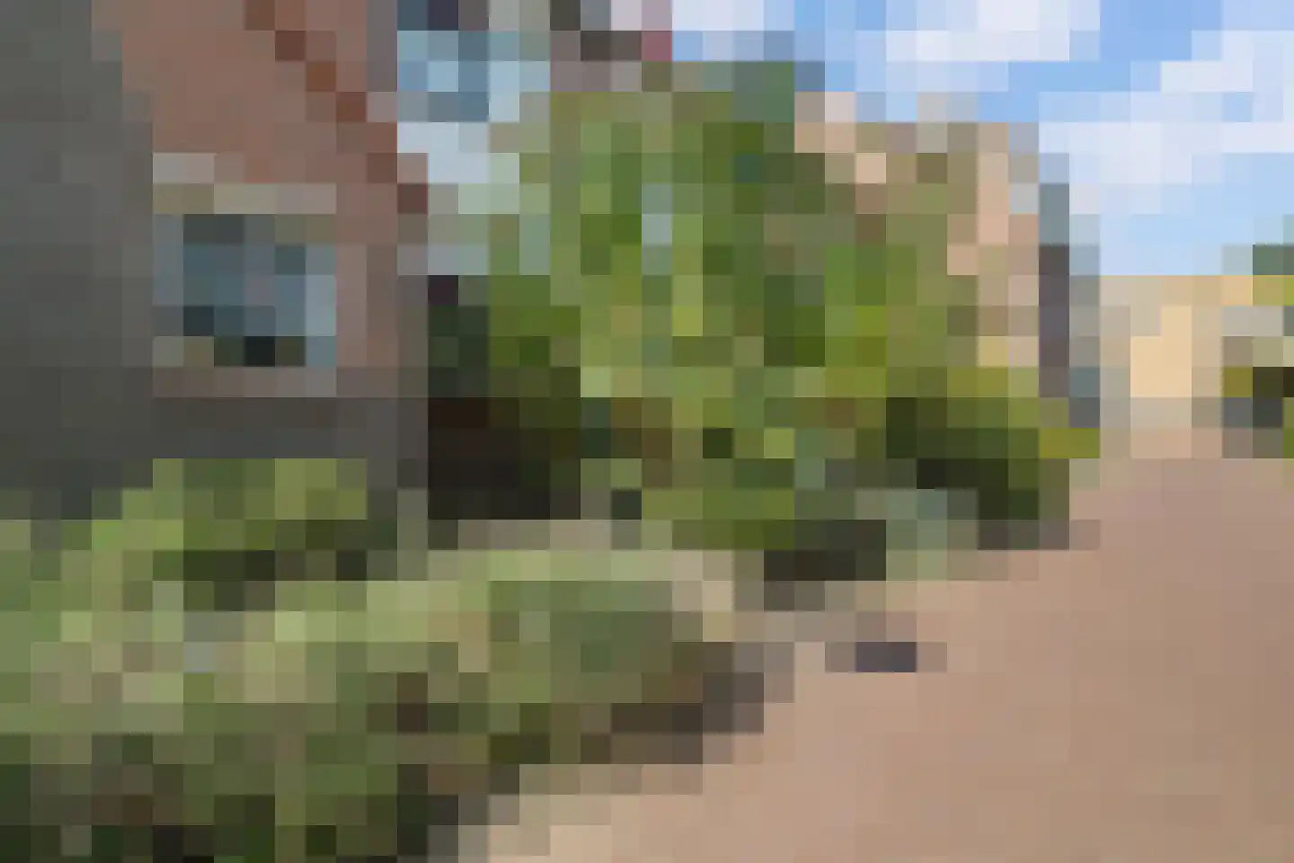 Geesterduinweg 180 Castricum thumbnail 32