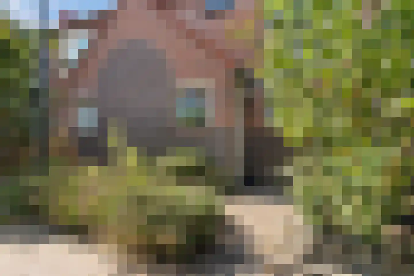 Geesterduinweg 180 Castricum thumbnail 5