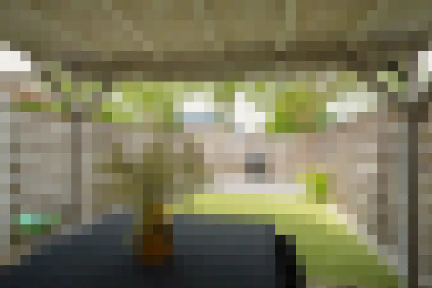 Geesterenbrink 4 Enschede thumbnail 32