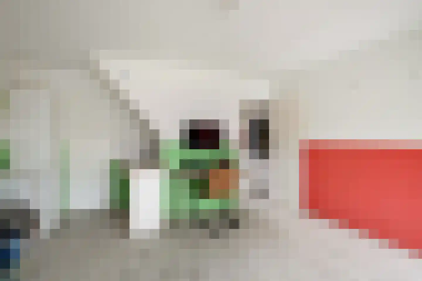 Geesterenbrink 4 Enschede thumbnail 6