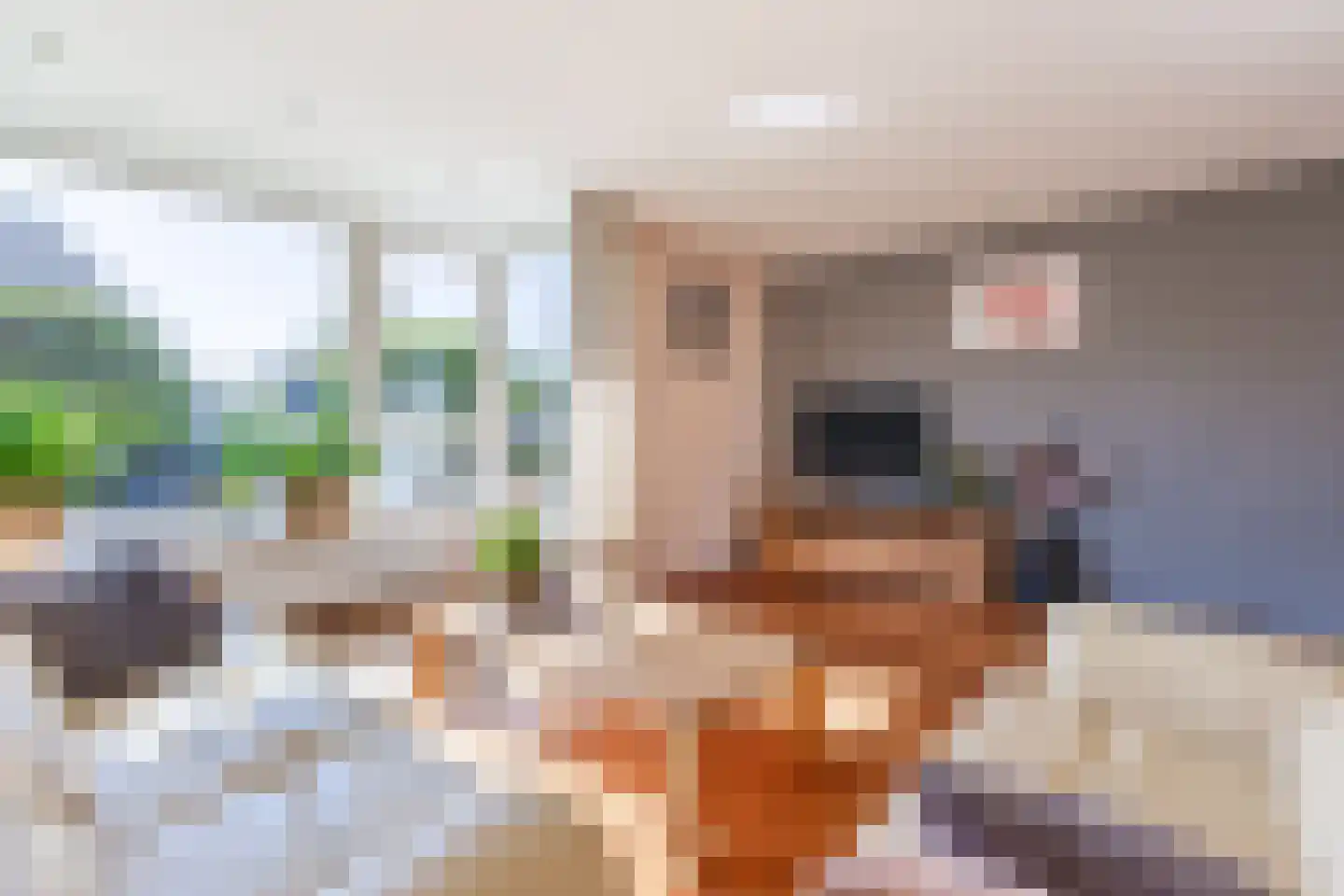 Geesterland 35 Ursem thumbnail 13