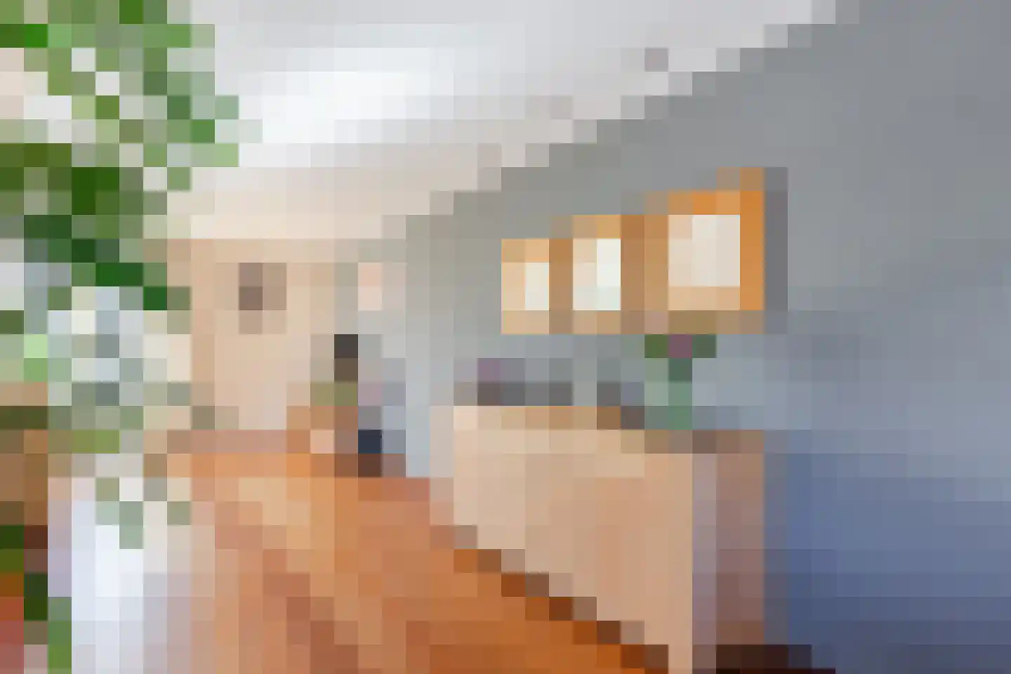 Geesterland 35 Ursem thumbnail 15