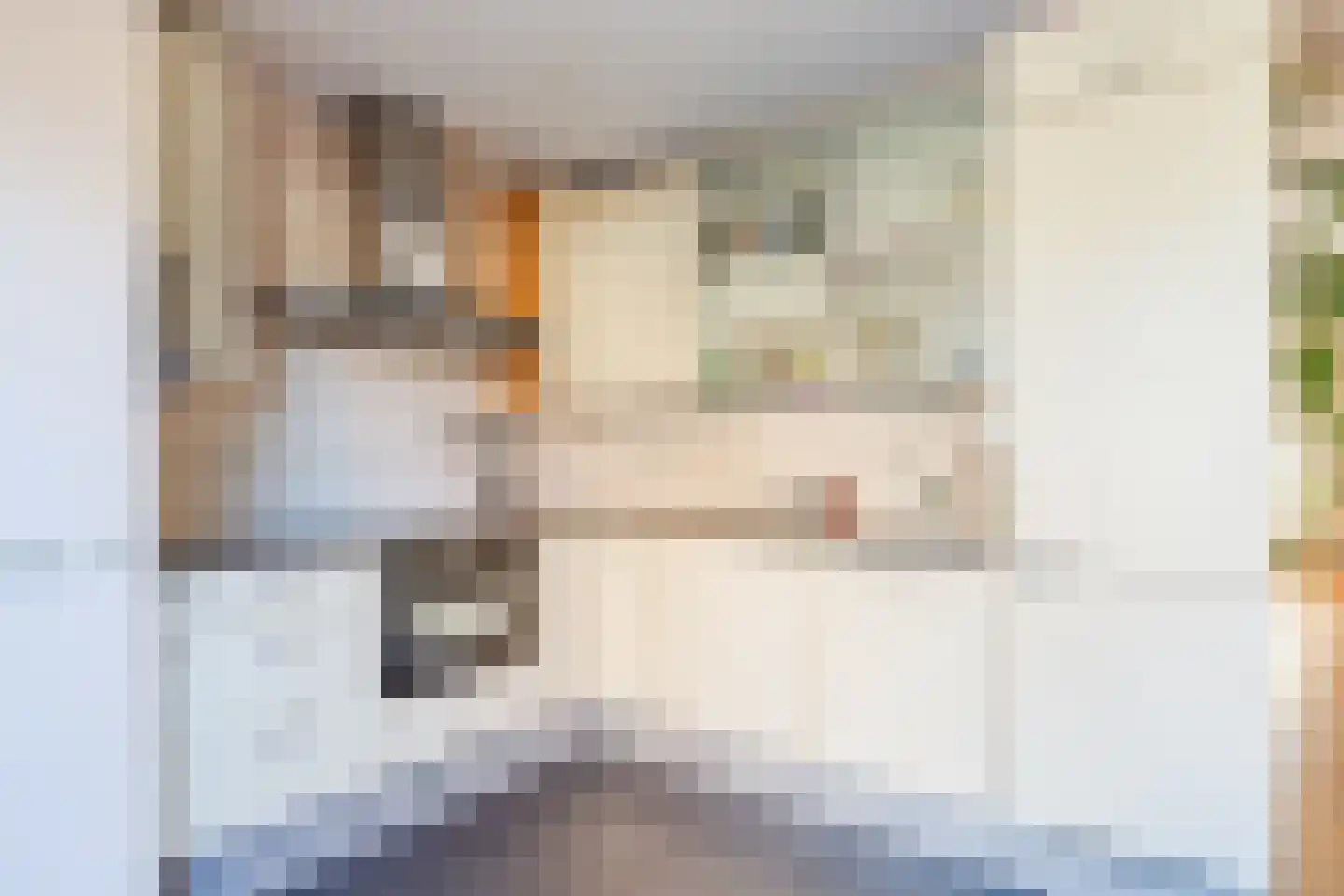 Geesterland 35 Ursem thumbnail 18