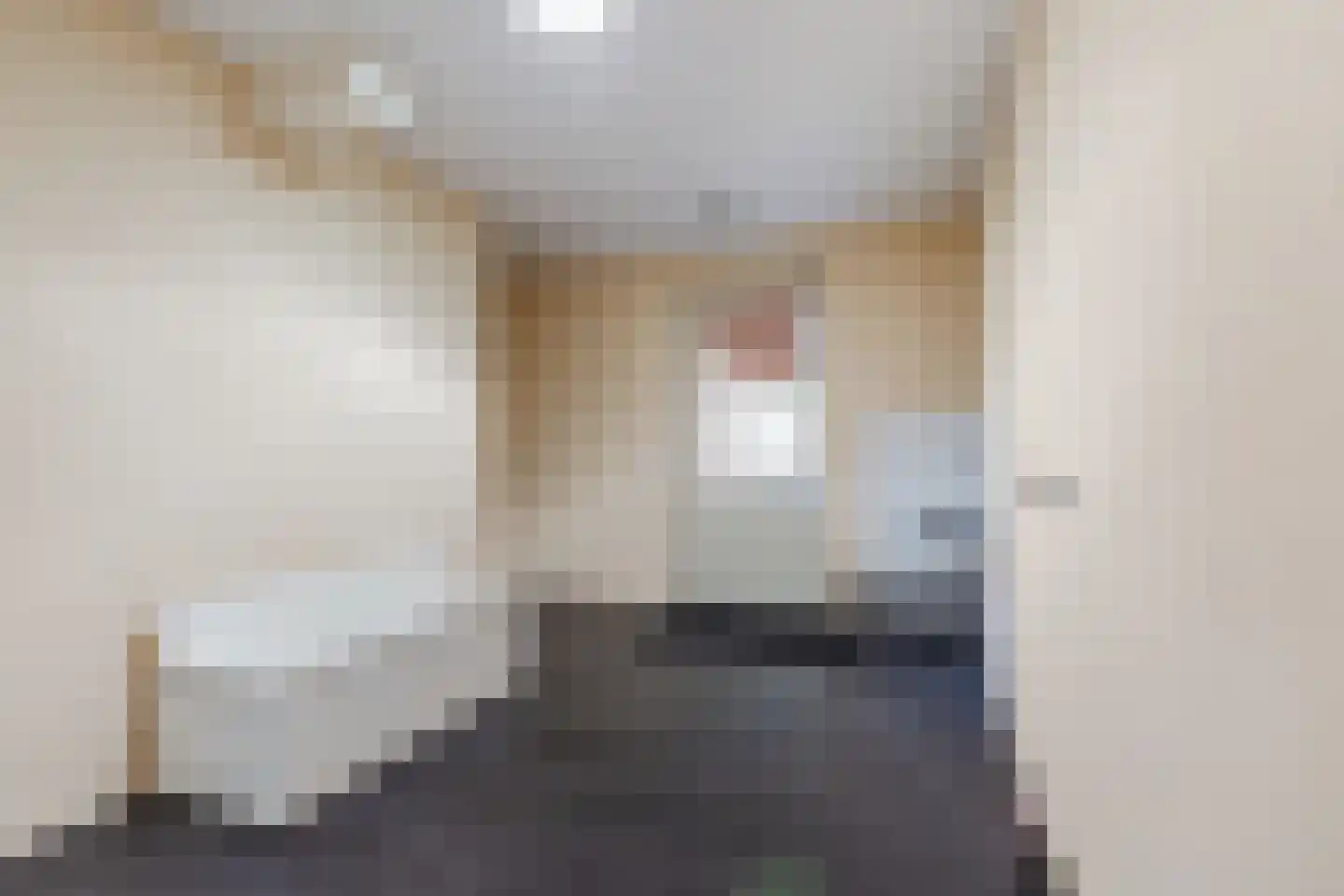 Geesterland 35 Ursem thumbnail 20
