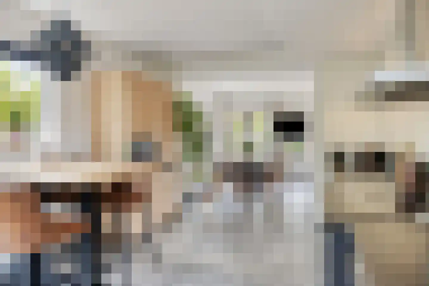 Geesterse Binnenweg 6 Borculo thumbnail 10