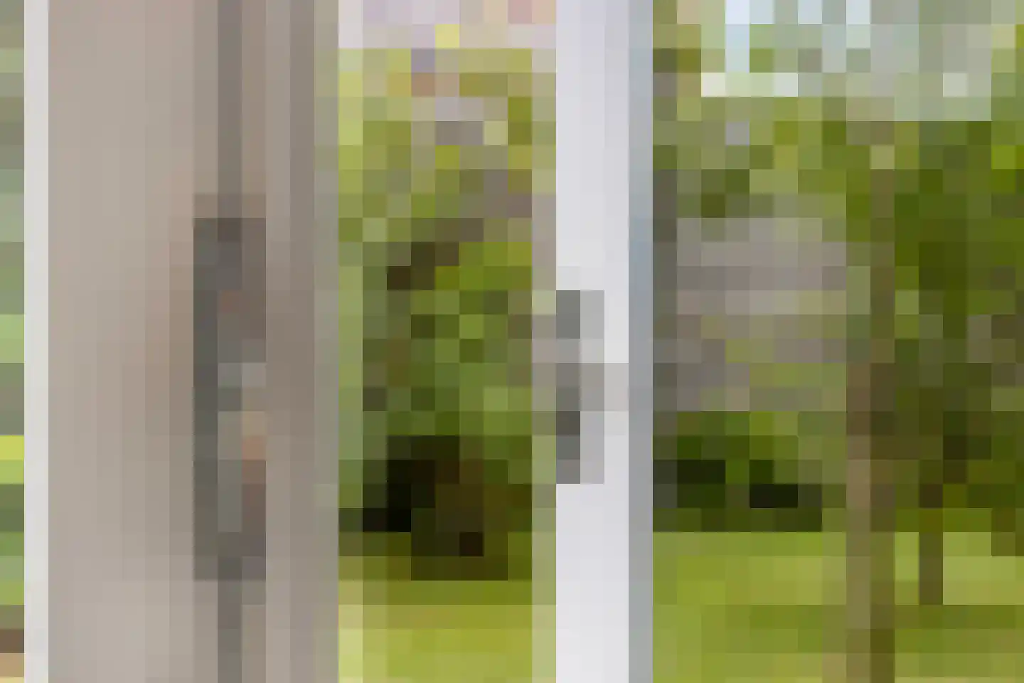 Geesterse Binnenweg 6 Borculo thumbnail 11