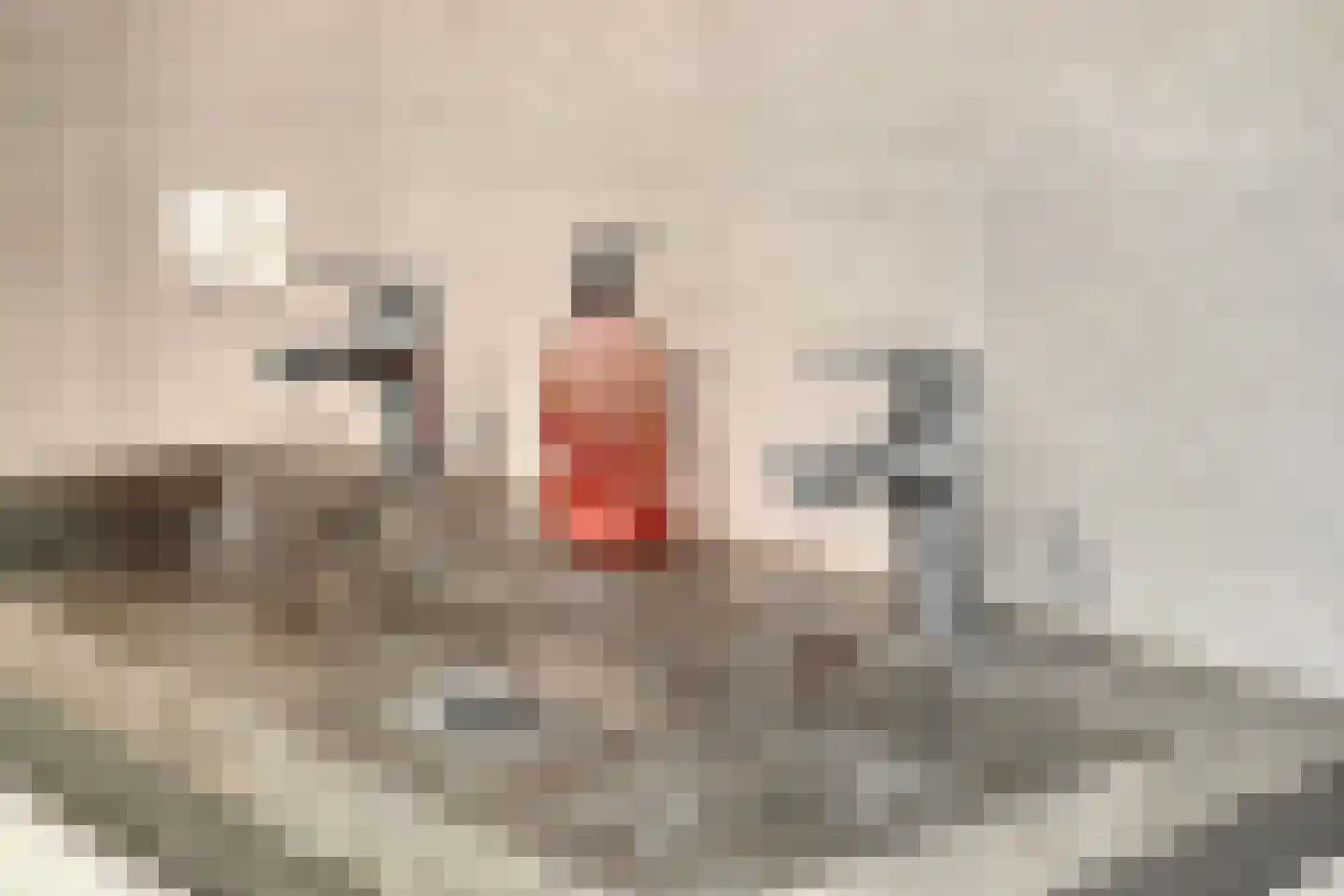 Geesterse Binnenweg 6 Borculo thumbnail 21
