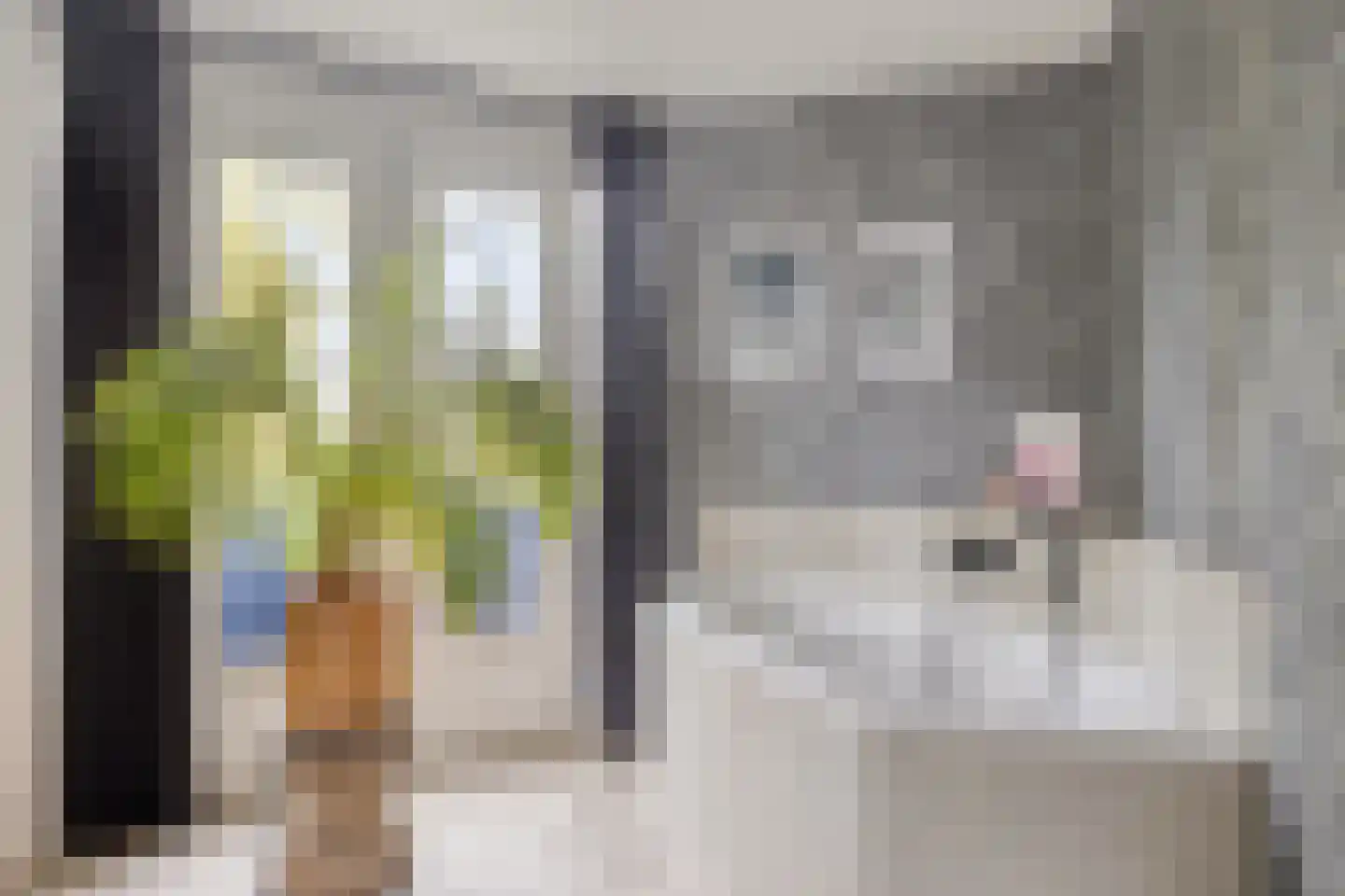 Geesterse Binnenweg 6 Borculo thumbnail 22