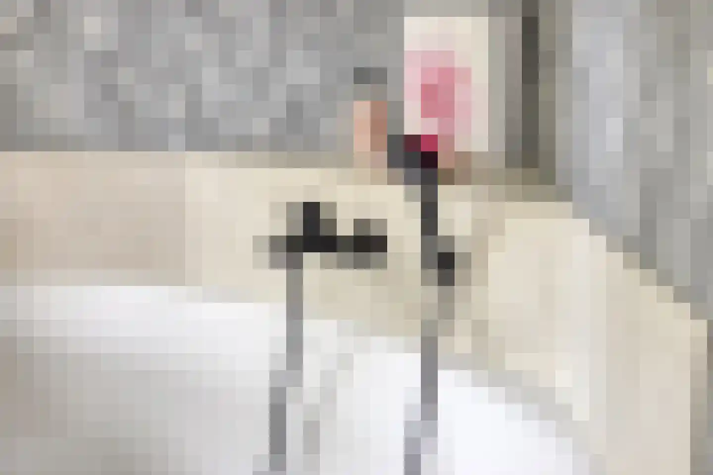 Geesterse Binnenweg 6 Borculo thumbnail 23