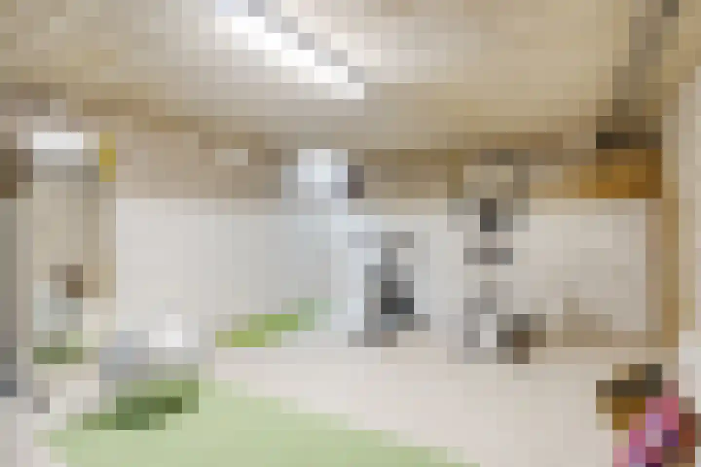Geesterse Binnenweg 6 Borculo thumbnail 34