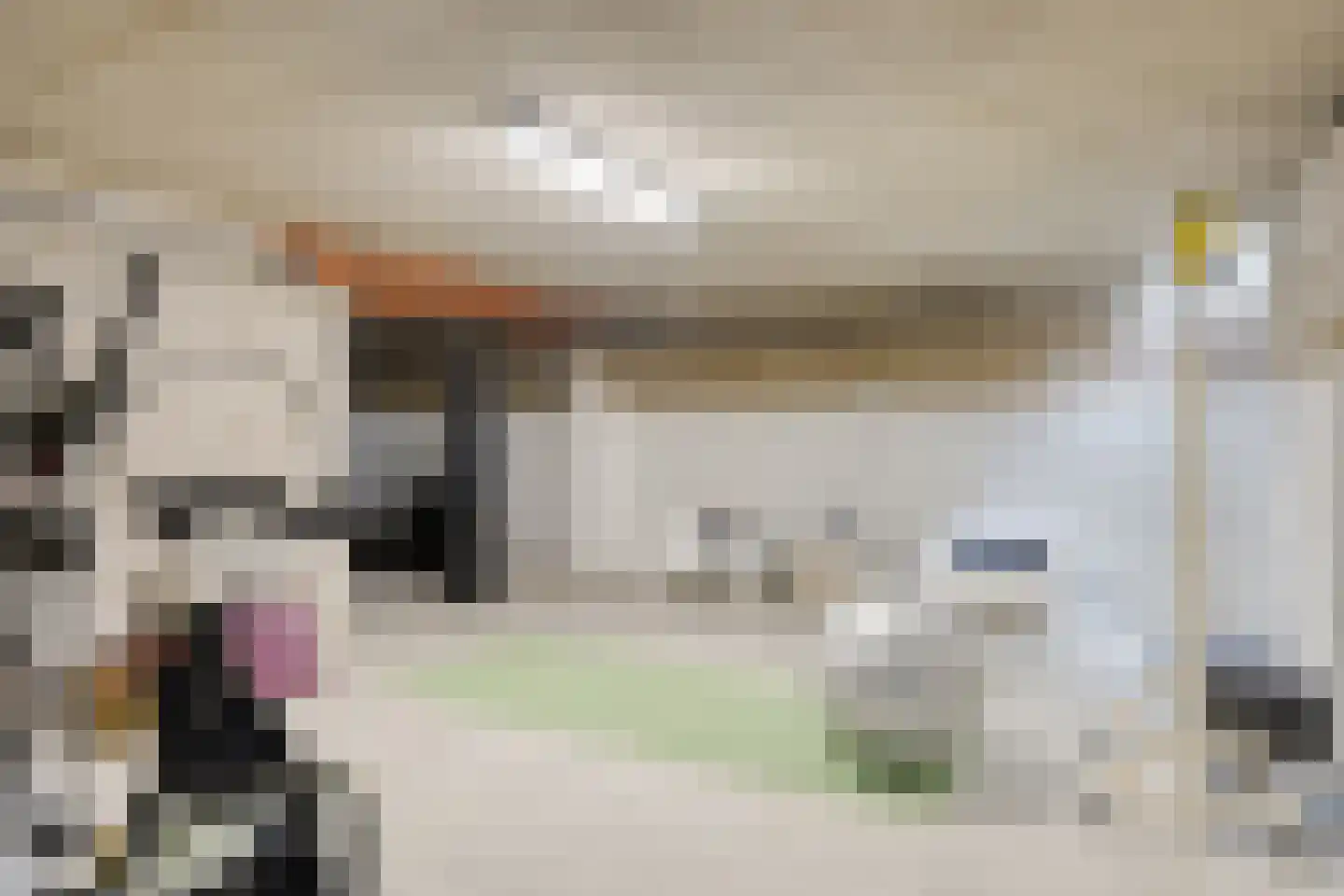 Geesterse Binnenweg 6 Borculo thumbnail 35