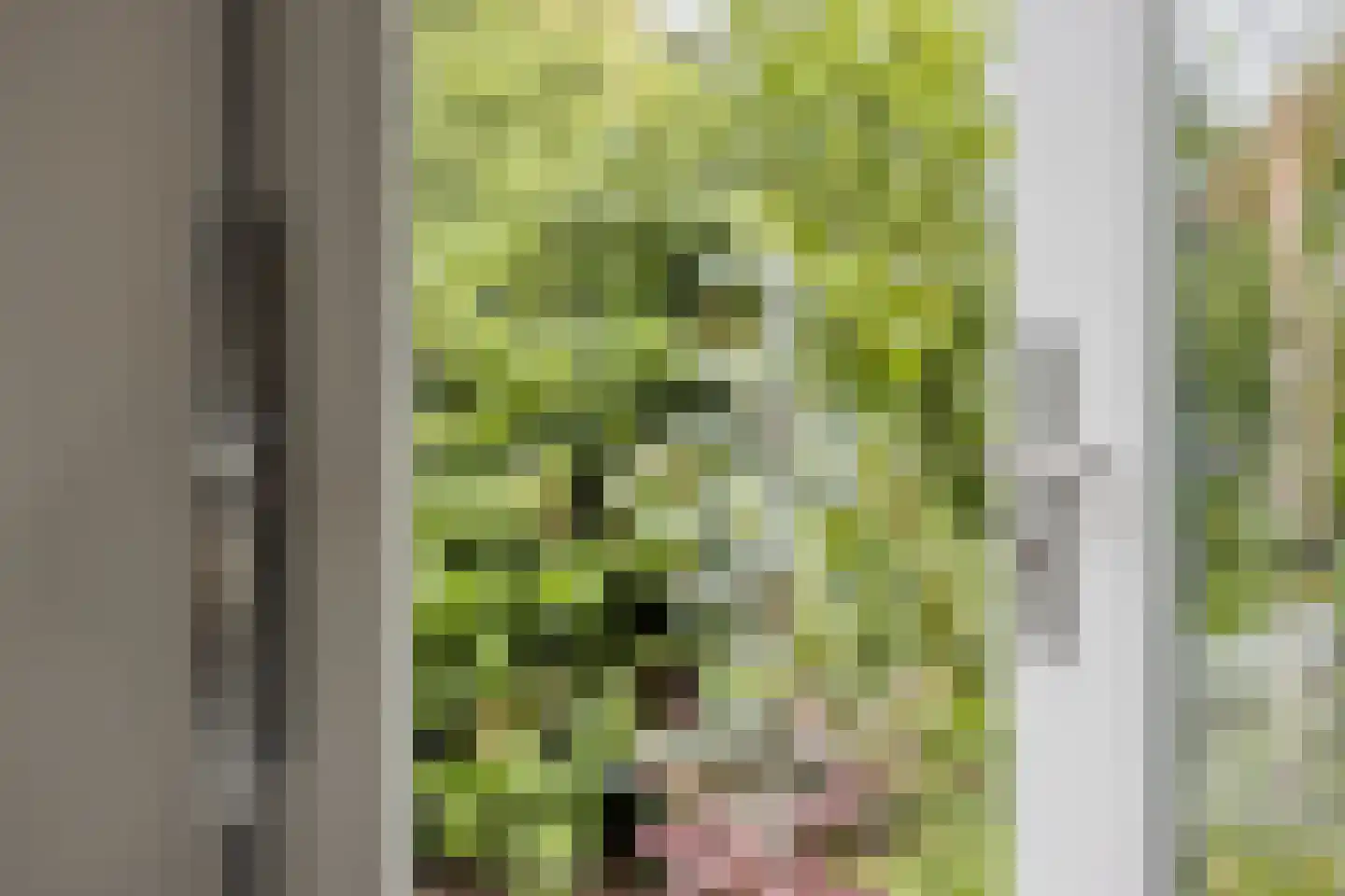 Geesterse Binnenweg 6 Borculo thumbnail 39