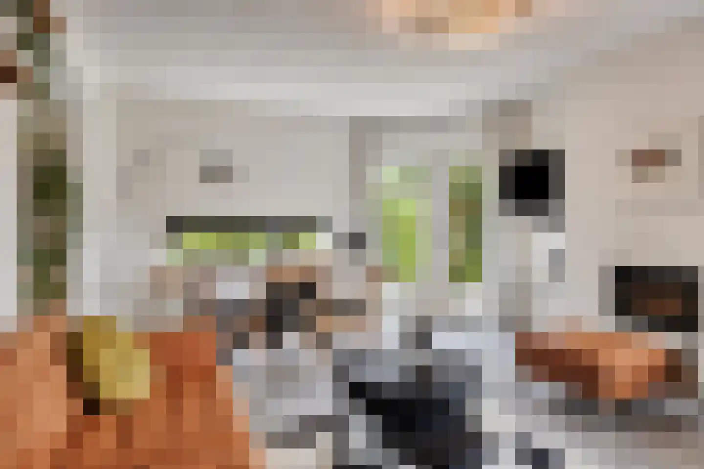Geesterse Binnenweg 6 Borculo thumbnail 4