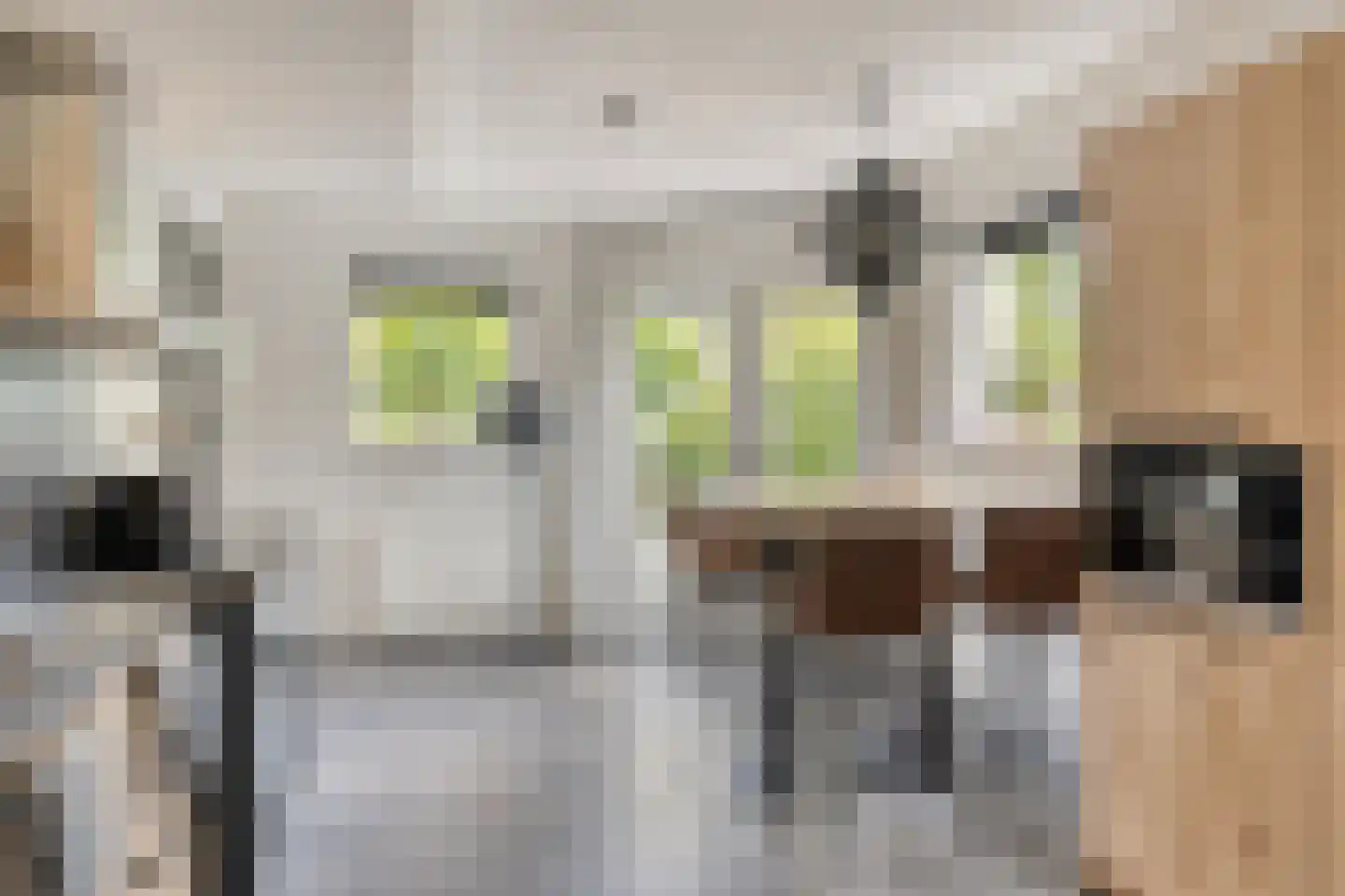 Geesterse Binnenweg 6 Borculo thumbnail 9