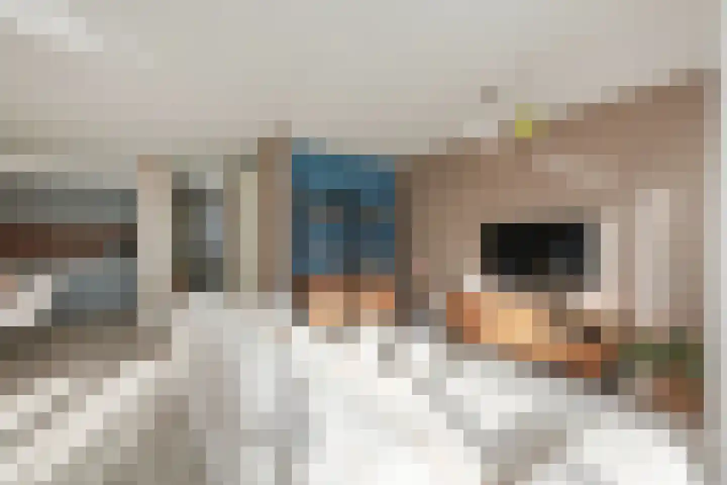 Geestersingel 103 Alkmaar thumbnail 10