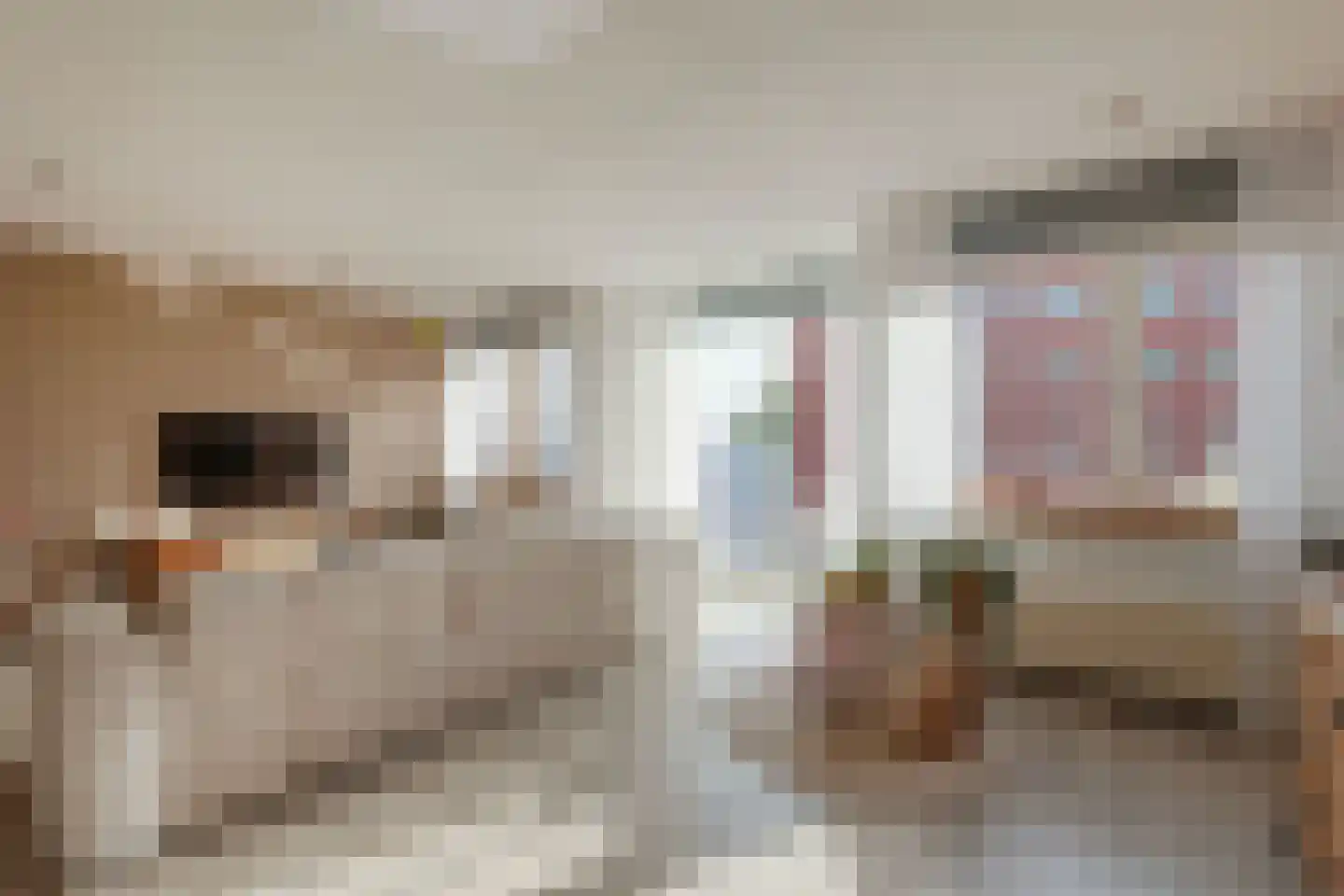 Geestersingel 103 Alkmaar thumbnail 11