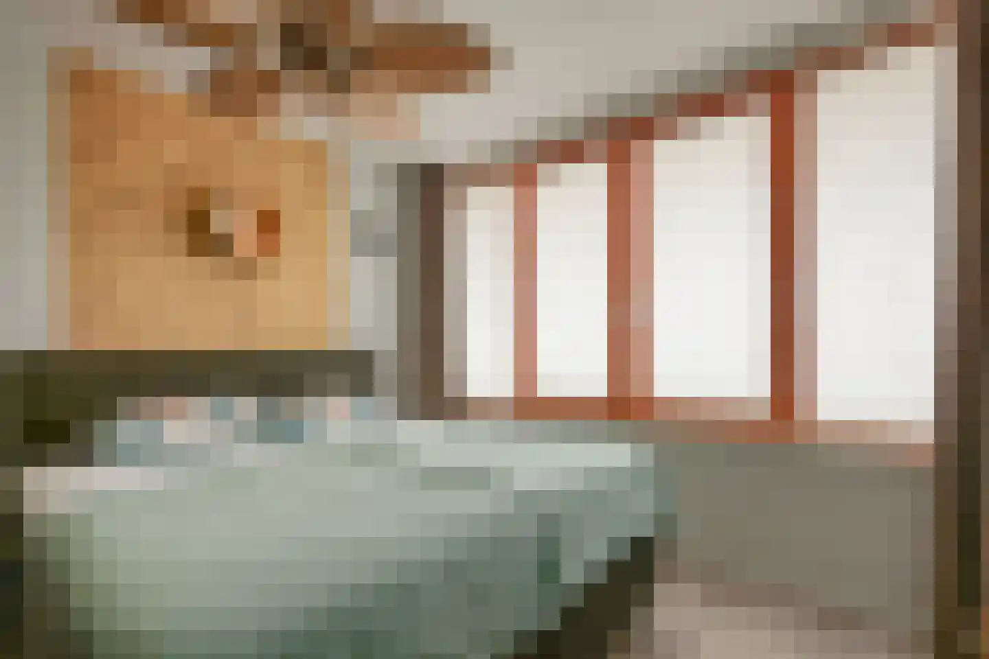 Geestersingel 103 Alkmaar thumbnail 20