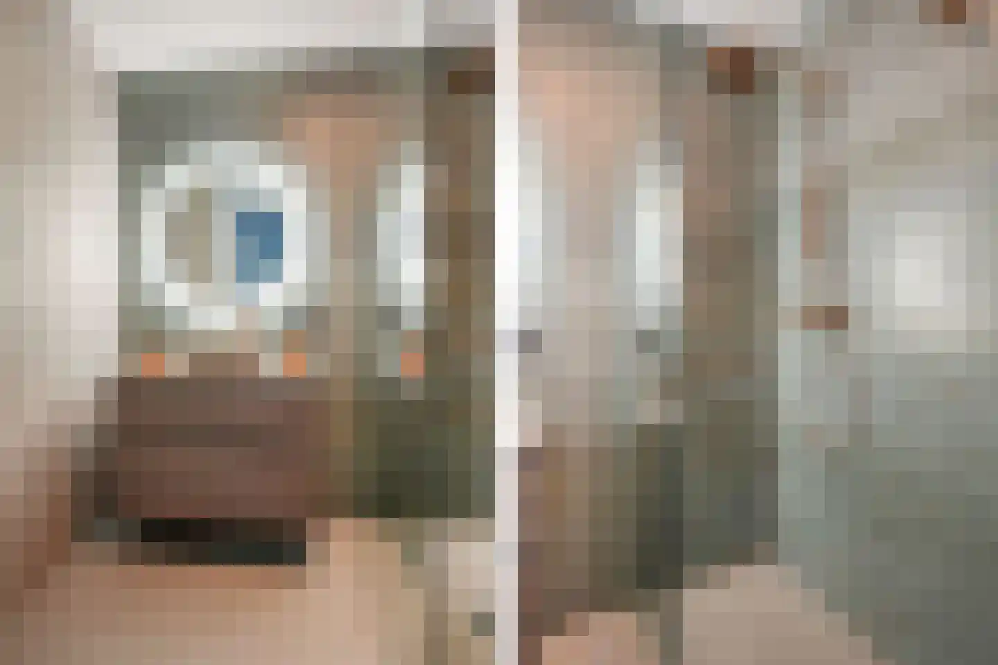 Geestersingel 103 Alkmaar thumbnail 23
